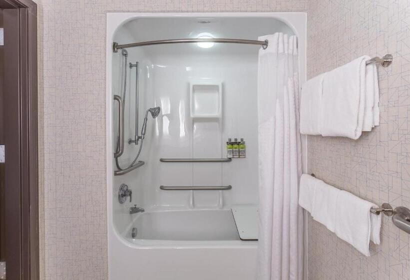 장애인을 위한 스탠다드 룸, Holiday Inn Express Rockford Loves Park, An Ihg