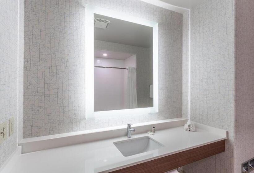 장애인을 위한 스탠다드 룸, Holiday Inn Express Rockford Loves Park, An Ihg