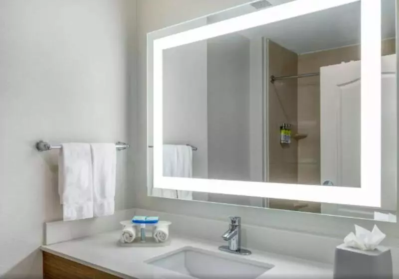 اتاق استاندارد برای معلولان, Holiday Inn   Indianapolis Downtown, An Ihg