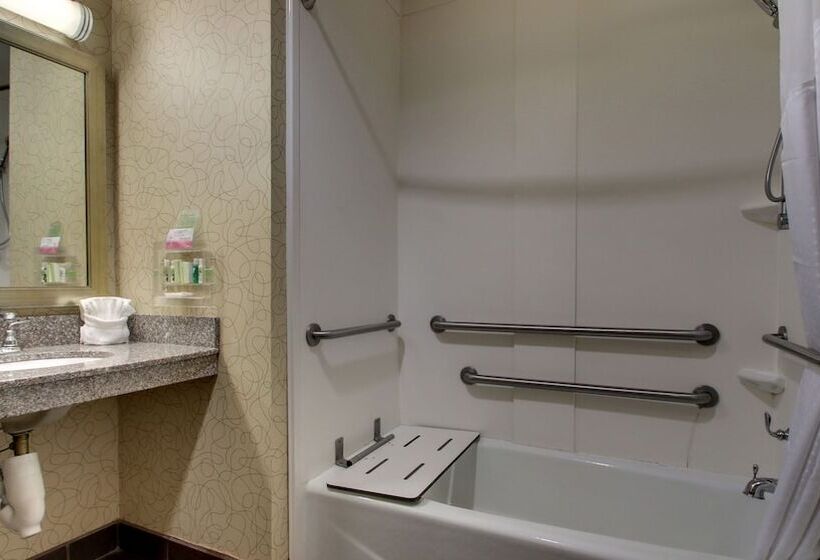اتاق استاندارد با 2 تخت دوبل, Holiday Inn Meridian East I 59 / I 20