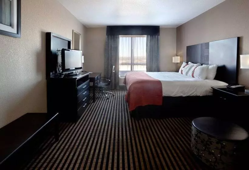 スタンダードルーム, Holiday Inn San Antonio North Stone Oak Area, An Ihg