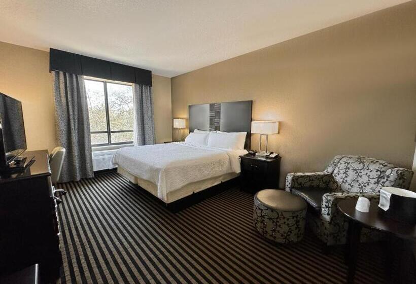 带大床的标准间, Holiday Inn San Antonio North Stone Oak Area, An Ihg
