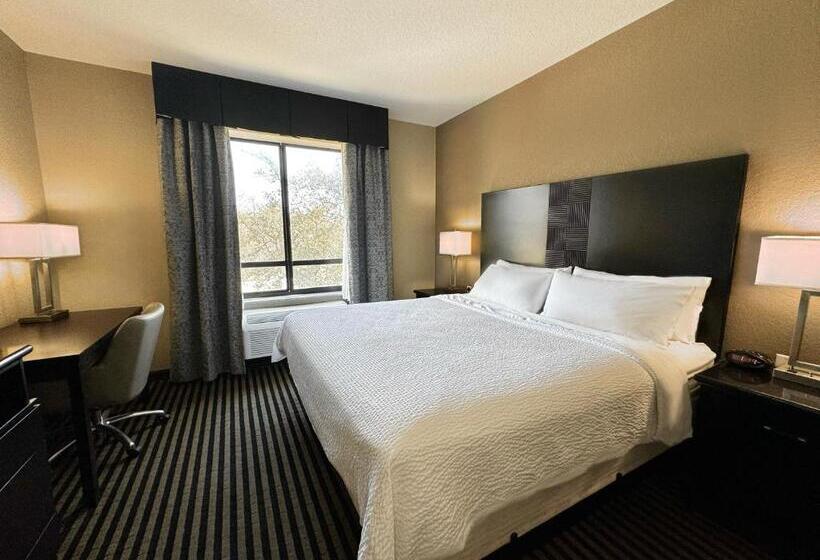 带大床的标准间, Holiday Inn San Antonio North Stone Oak Area, An Ihg