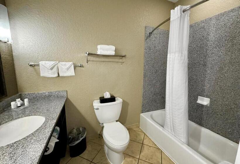 适合残疾人士使用的带超级大床的标准间, Holiday Inn San Antonio North Stone Oak Area, An Ihg