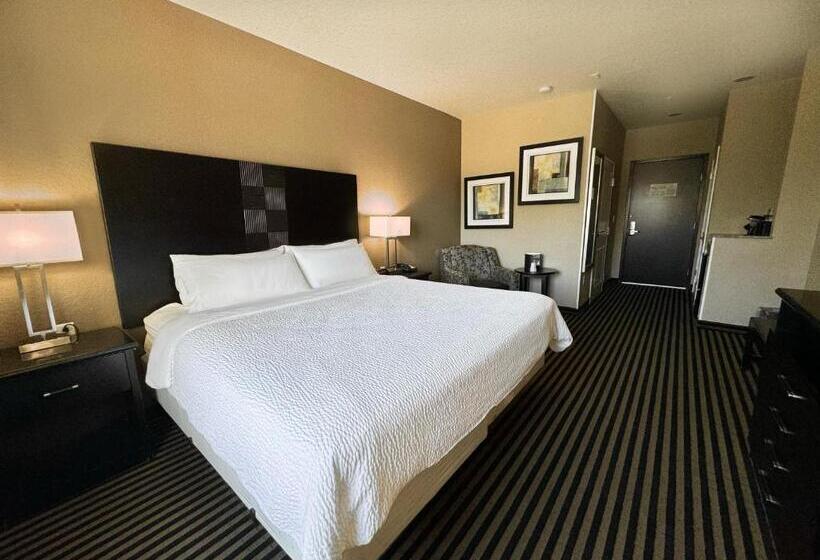 适合残疾人士使用的带超级大床的标准间, Holiday Inn San Antonio North Stone Oak Area, An Ihg