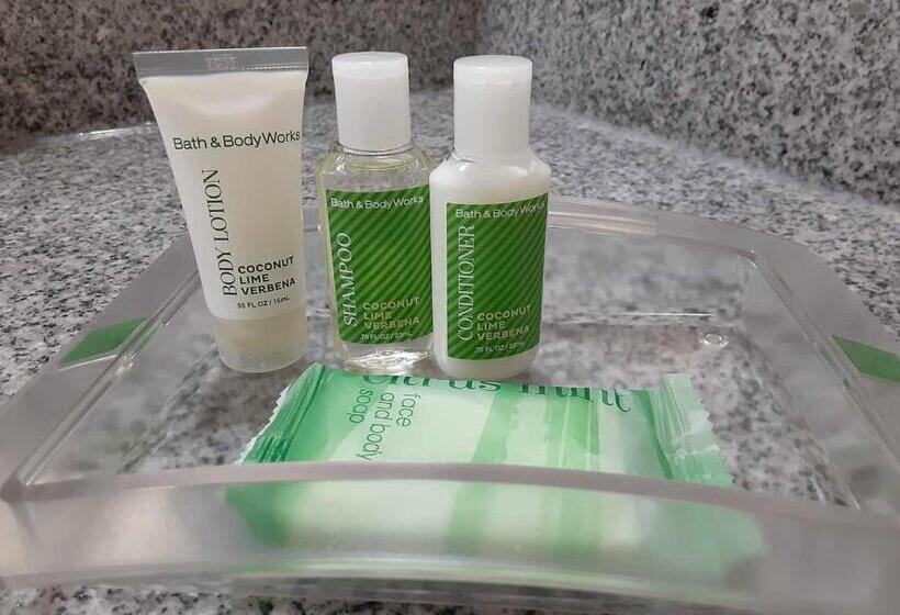 适用于残疾人士的豪华房间, Holiday Inn San Antonio North Stone Oak Area, An Ihg