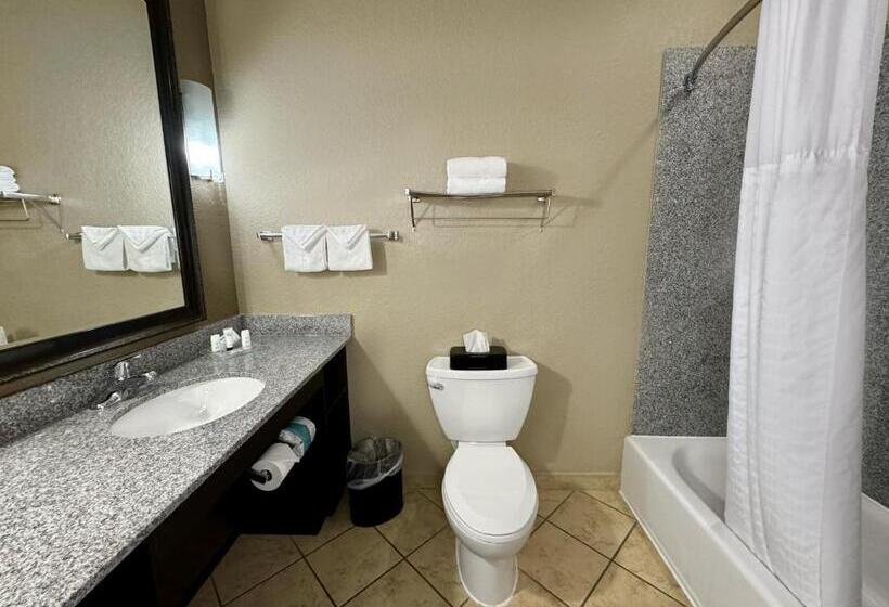 适合残疾人使用的标准间, Holiday Inn San Antonio North Stone Oak Area, An Ihg