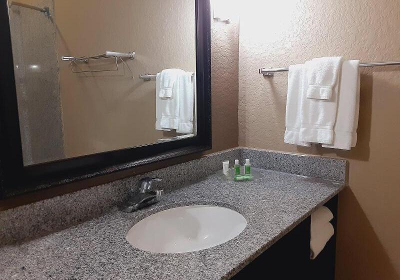 带大床的标准间, Holiday Inn San Antonio North Stone Oak Area, An Ihg