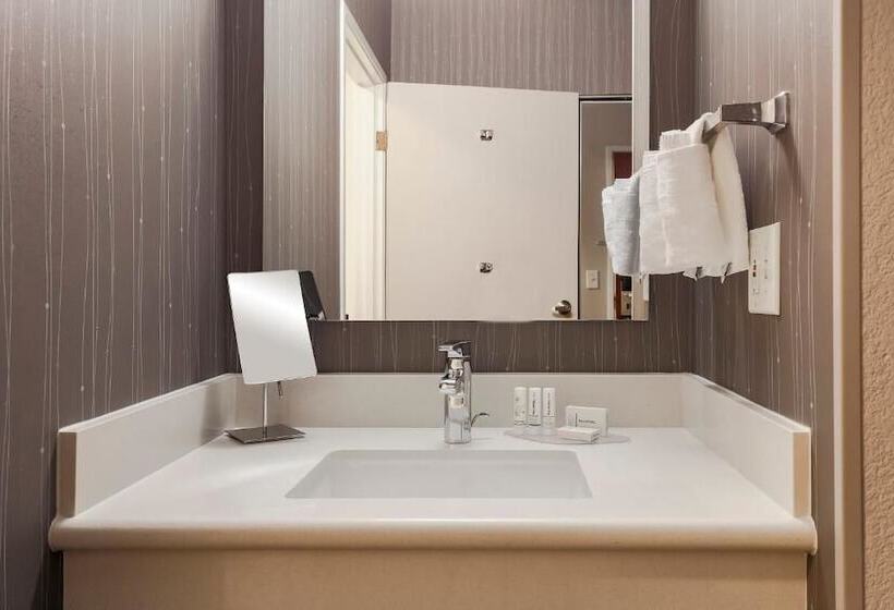 스탠다드 룸 더블 침대, Radisson Hotel Houston Intercontinental Airport North