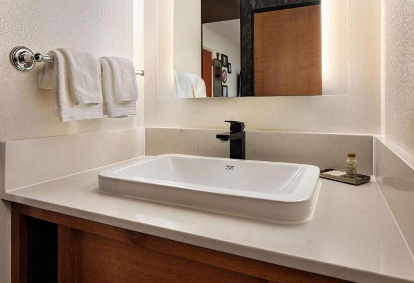 장애인을 위한 킹사이즈 침대 스탠다드 룸, Renaissance Minneapolis Hotel, The Depot