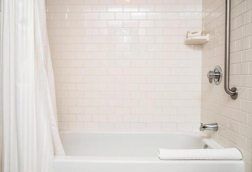 Номер Стандарт Кровать Кинг Адаптированный для Инвалидов, Renaissance Minneapolis Hotel, The Depot