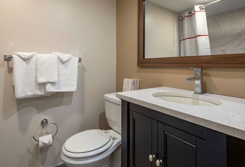 带2个双人床的标准工作室, Rodeway Inn Oceanview