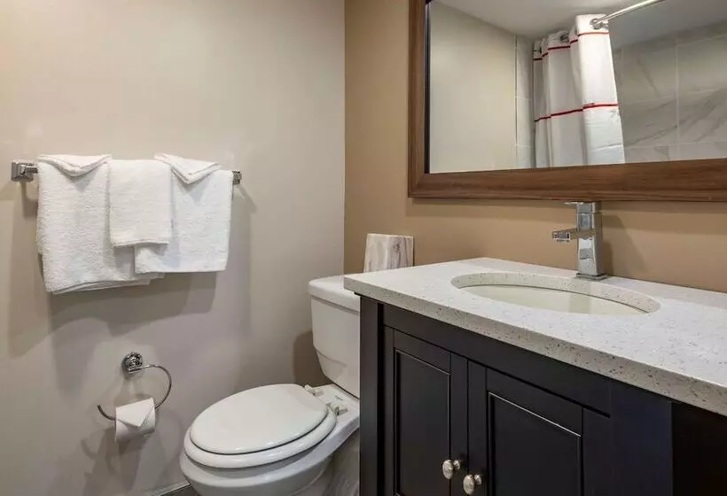 Standard-huone 2 Parivuodetta, Rodeway Inn Oceanview