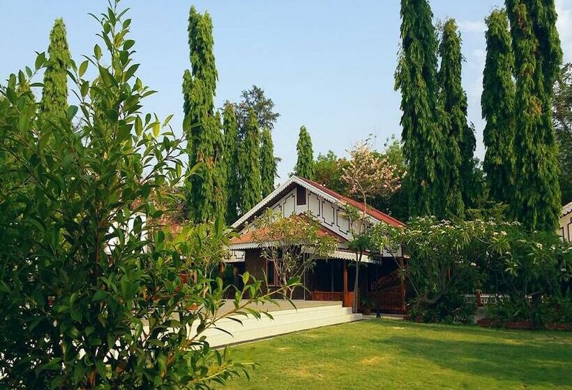 Habitación Deluxe, Ruby True