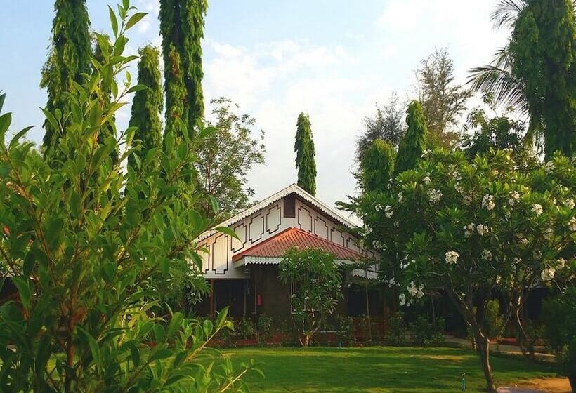 Habitación Deluxe, Ruby True