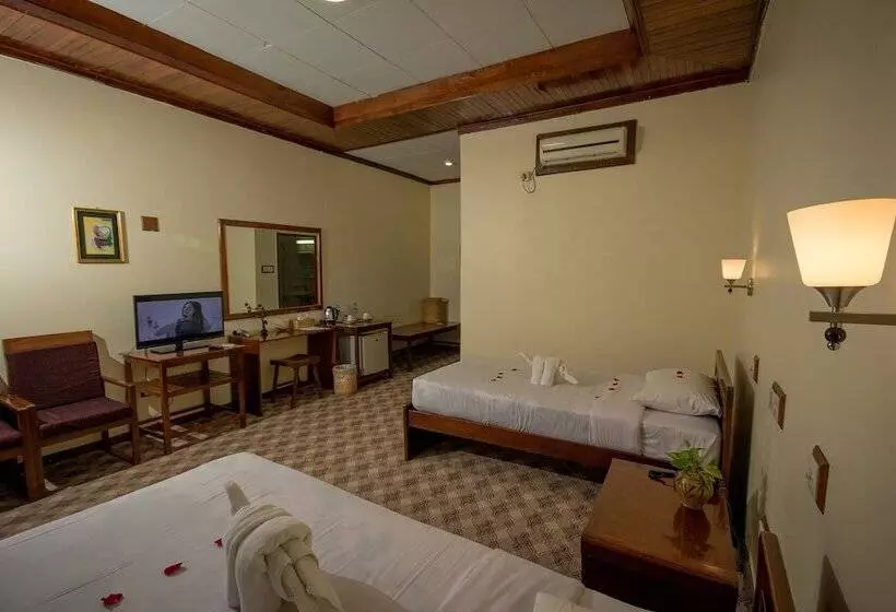 Deluxe Room, Ruby True