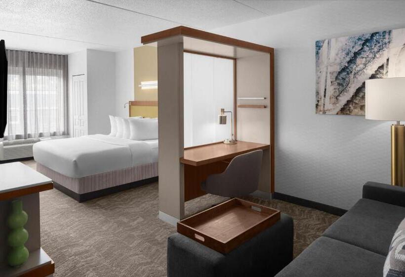 キングサイドベッドのスタンダードワンルーム, Springhill Suites Pittsburgh Southside Works