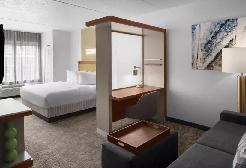 Standard-studio King-vuode, Springhill Suites Pittsburgh Southside Works