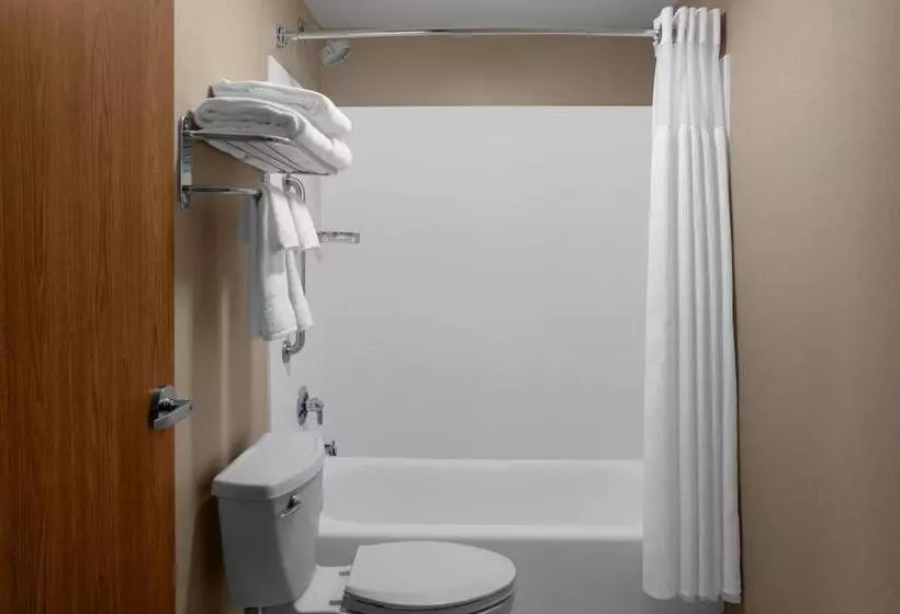 Standard-studio King-vuode, Springhill Suites Pittsburgh Southside Works