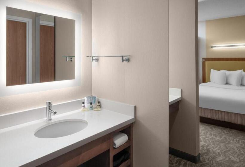 キングサイドベッドのスタンダードワンルーム, Springhill Suites Pittsburgh Southside Works