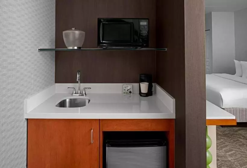 Standard-studio King-vuode, Springhill Suites Pittsburgh Southside Works