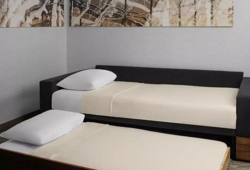 Standard-studio King-vuode, Springhill Suites Pittsburgh Southside Works