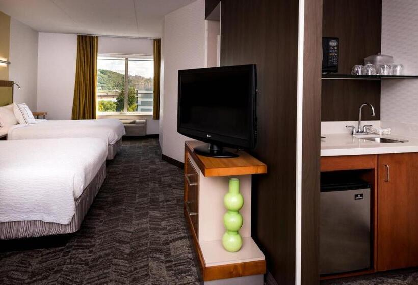 スタンダードスタジオ, Springhill Suites Pittsburgh Southside Works
