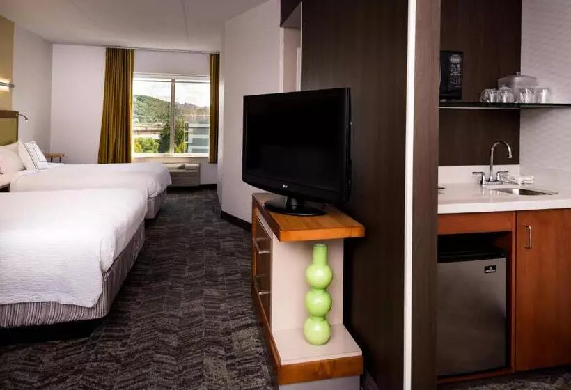 Standard-studio, Springhill Suites Pittsburgh Southside Works