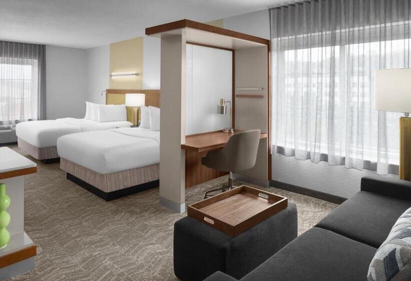 スタンダードスタジオ, Springhill Suites Pittsburgh Southside Works