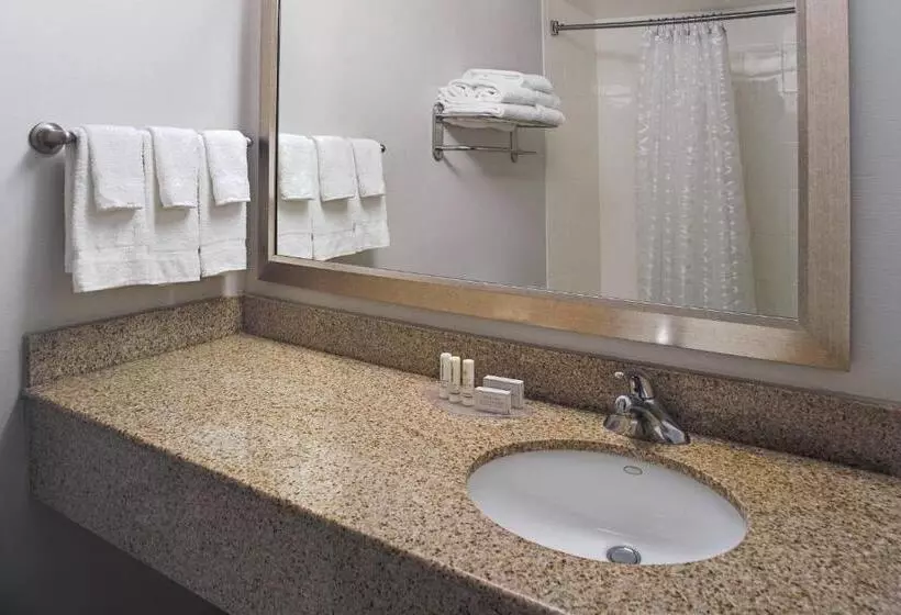 スイート, Springhill Suites By Marriott Virginia Beach Oceanfront