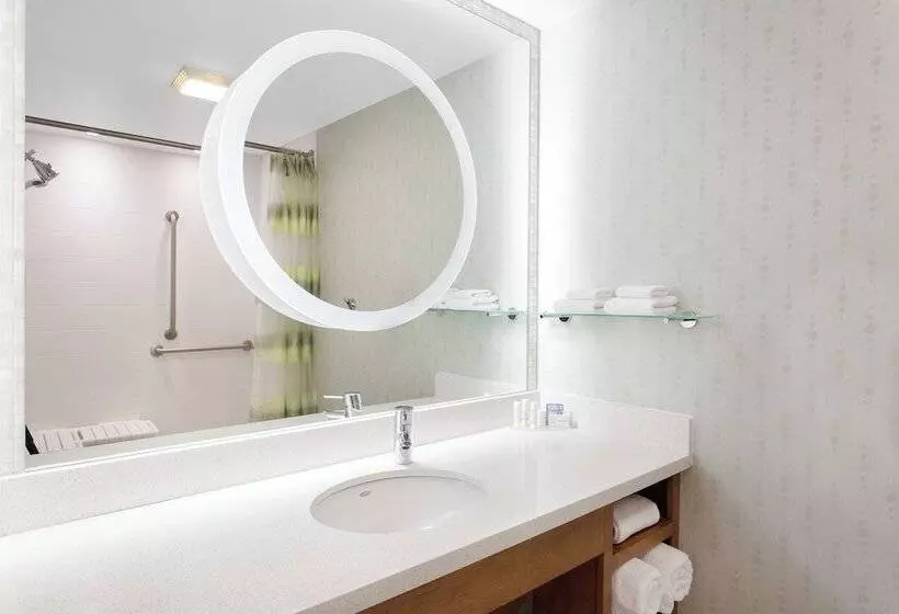 スタンダードスタジオ, Springhill Suites Ewing Township Princeton South