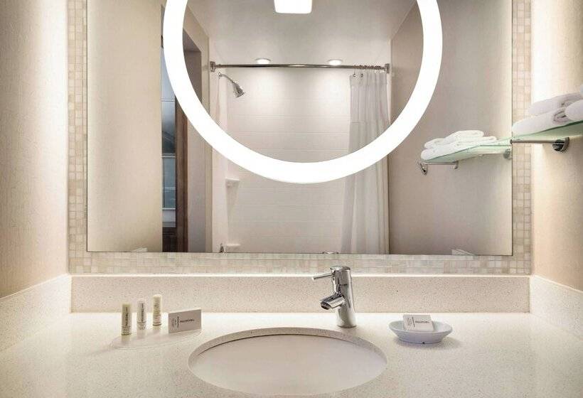 スタンダードスタジオ, Springhill Suites Ewing Township Princeton South