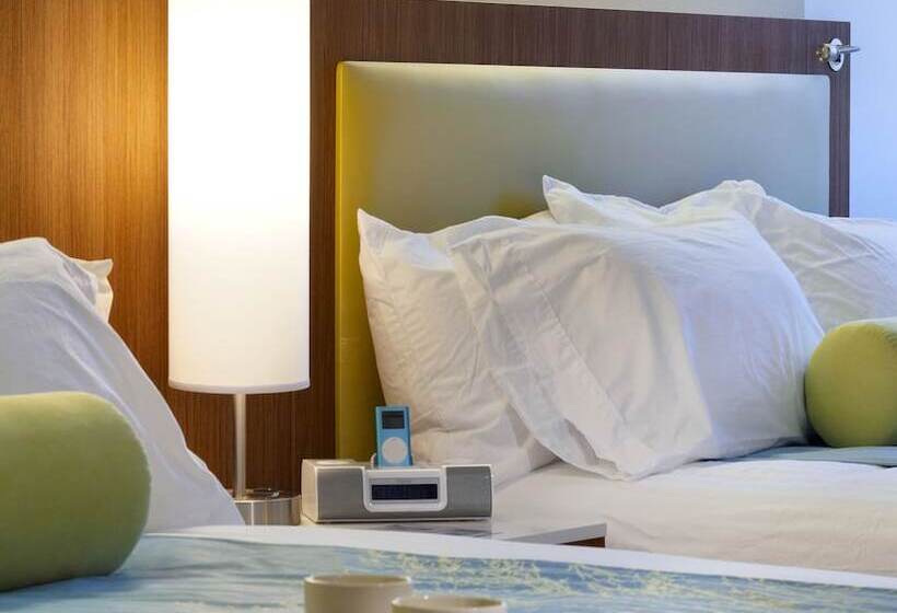 スタンダードスタジオ, Springhill Suites Ewing Township Princeton South