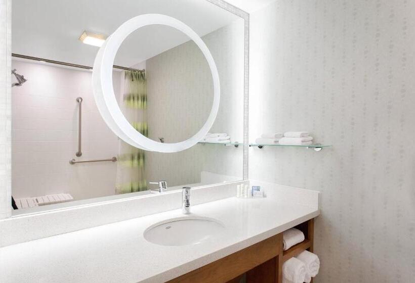스탠다드 스튜디오 킹침대, Springhill Suites Ewing Township Princeton South