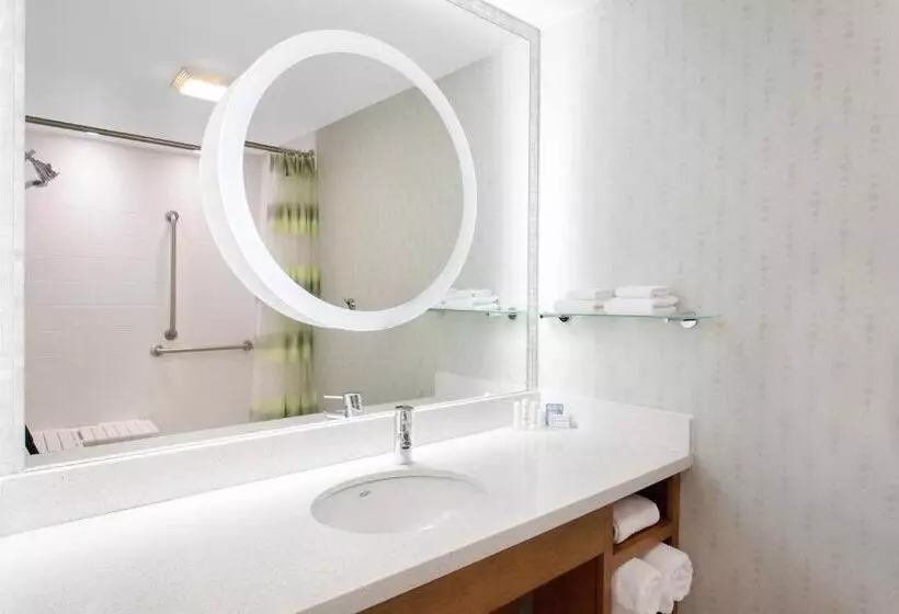 キングサイドベッドのスタンダードワンルーム, Springhill Suites Ewing Township Princeton South