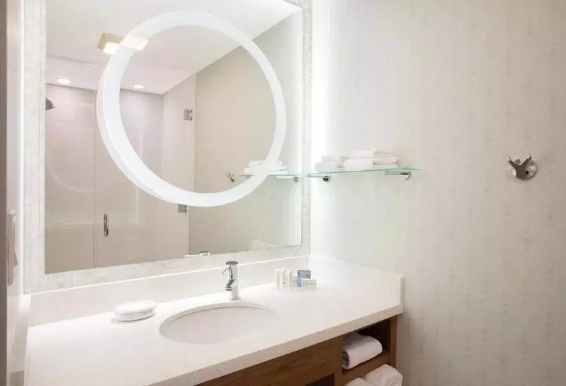 キングサイドベッドのスタンダードワンルーム, Springhill Suites Ewing Township Princeton South