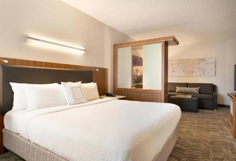 스탠다드 스튜디오 킹침대, Springhill Suites Ewing Township Princeton South
