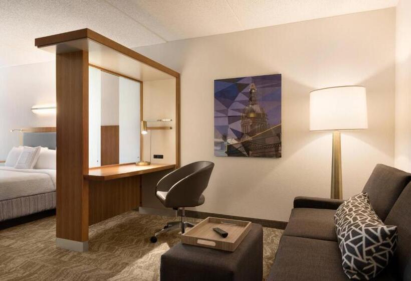 キングサイドベッドのスタンダードワンルーム, Springhill Suites Ewing Township Princeton South