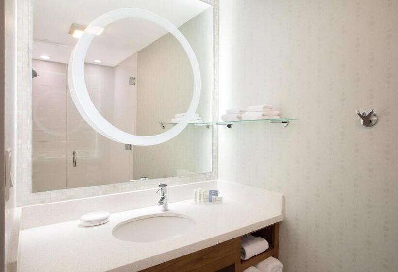 スタンダードスタジオ, Springhill Suites Ewing Township Princeton South