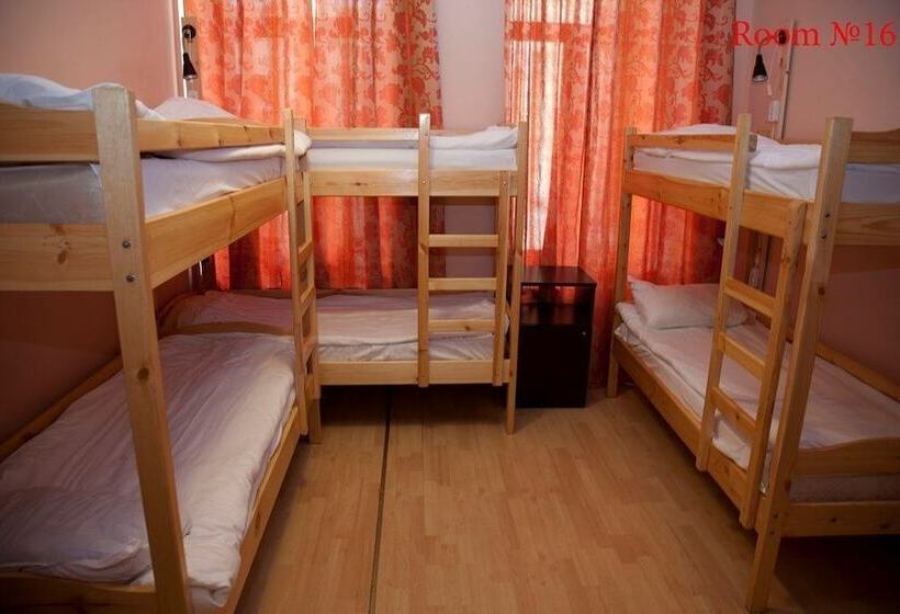 سرير فى غرفة مشتركه, Babushka House   Hostel