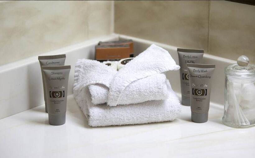 行政房间, Longreach Motor Inn