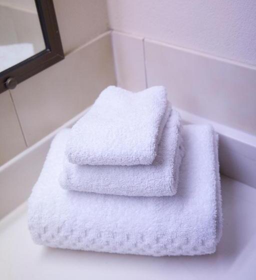 家庭套房, Longreach Motor Inn