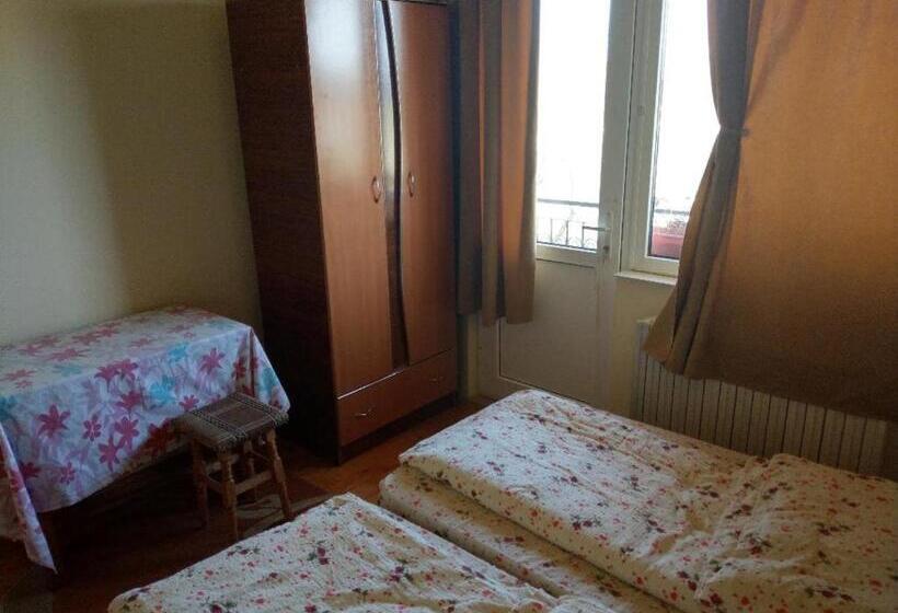 غرفة قياسية حمام مشترك, Lary Hostel