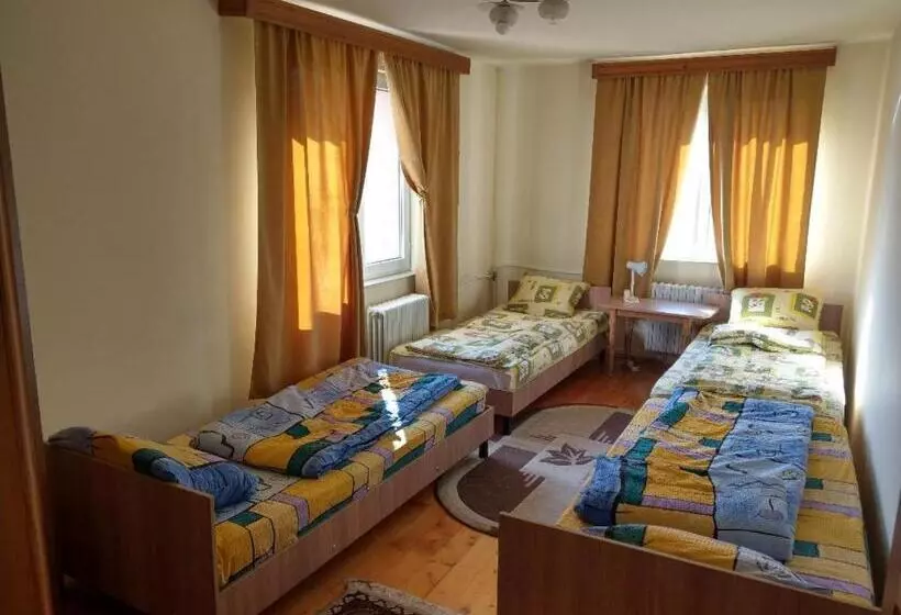 ルームシェアのワンベッド, Lary Hostel