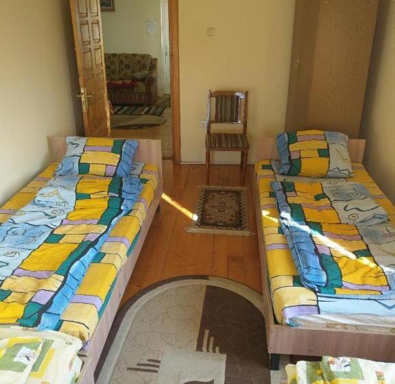 سرير فى غرفة مشتركه, Lary Hostel