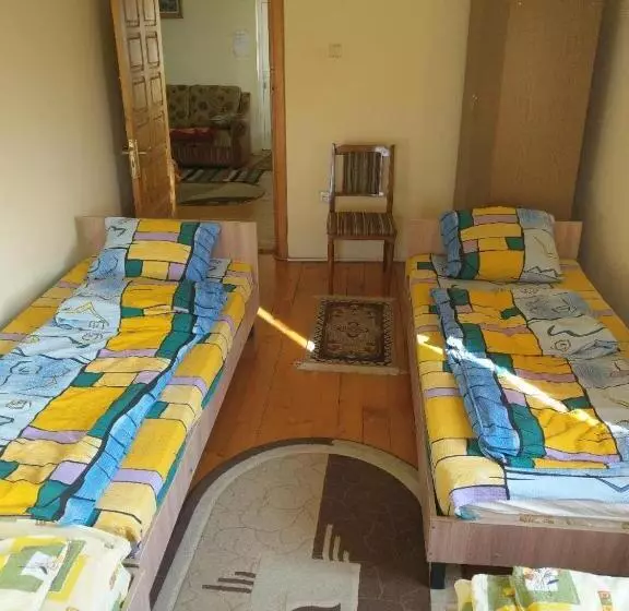 ルームシェアのワンベッド, Lary Hostel
