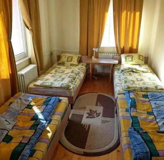 ルームシェアのワンベッド, Lary Hostel