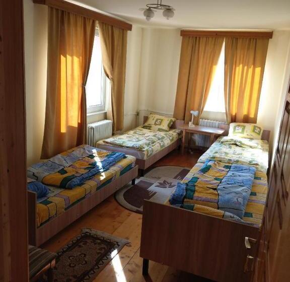 سرير فى غرفة مشتركه, Lary Hostel