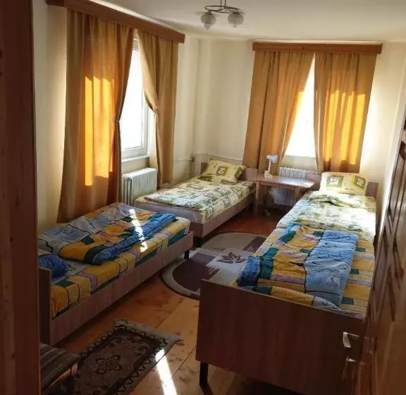 ルームシェアのワンベッド, Lary Hostel