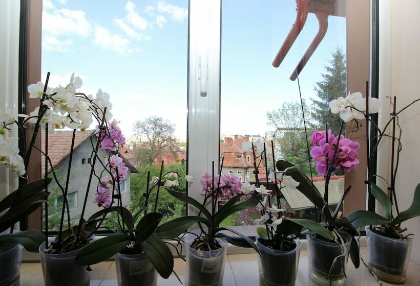 Номер Economy, Dolce Far Niente